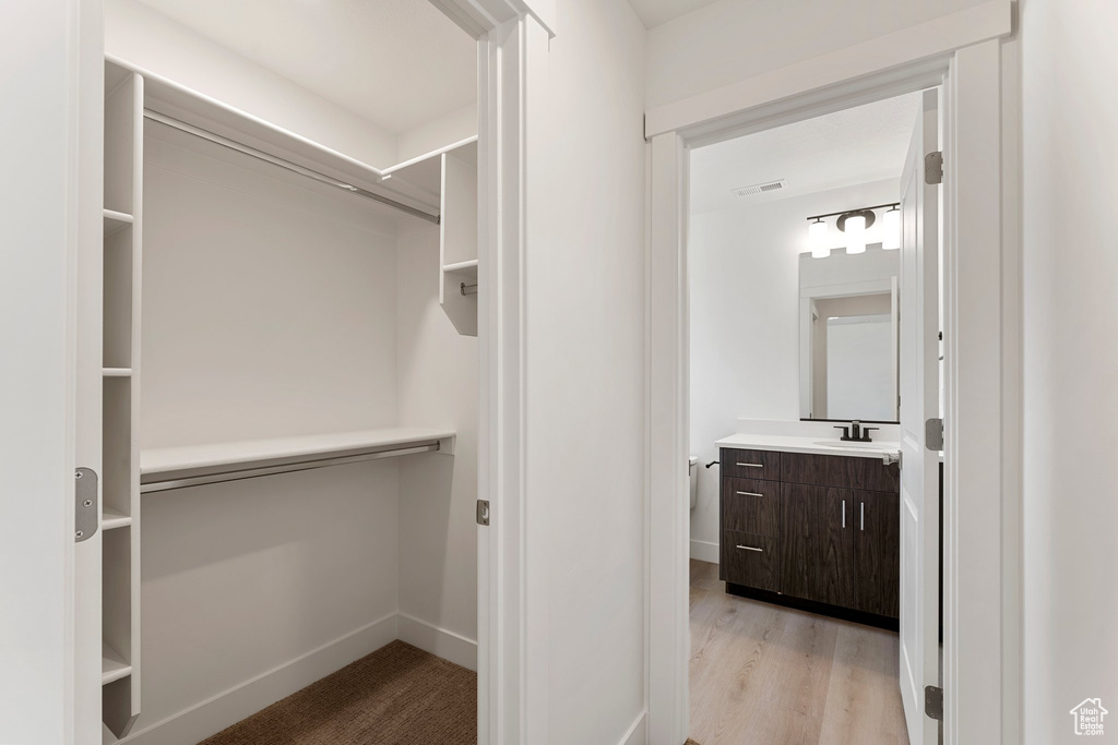 Spacious closet featuring light wood-style flooring and a sink