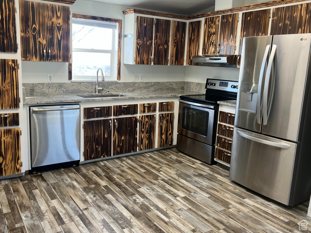 Kitchen featuring dark brown cabinetry, appliances with stainless steel finishes, wood finished floors, a sink, and under cabinet range hood