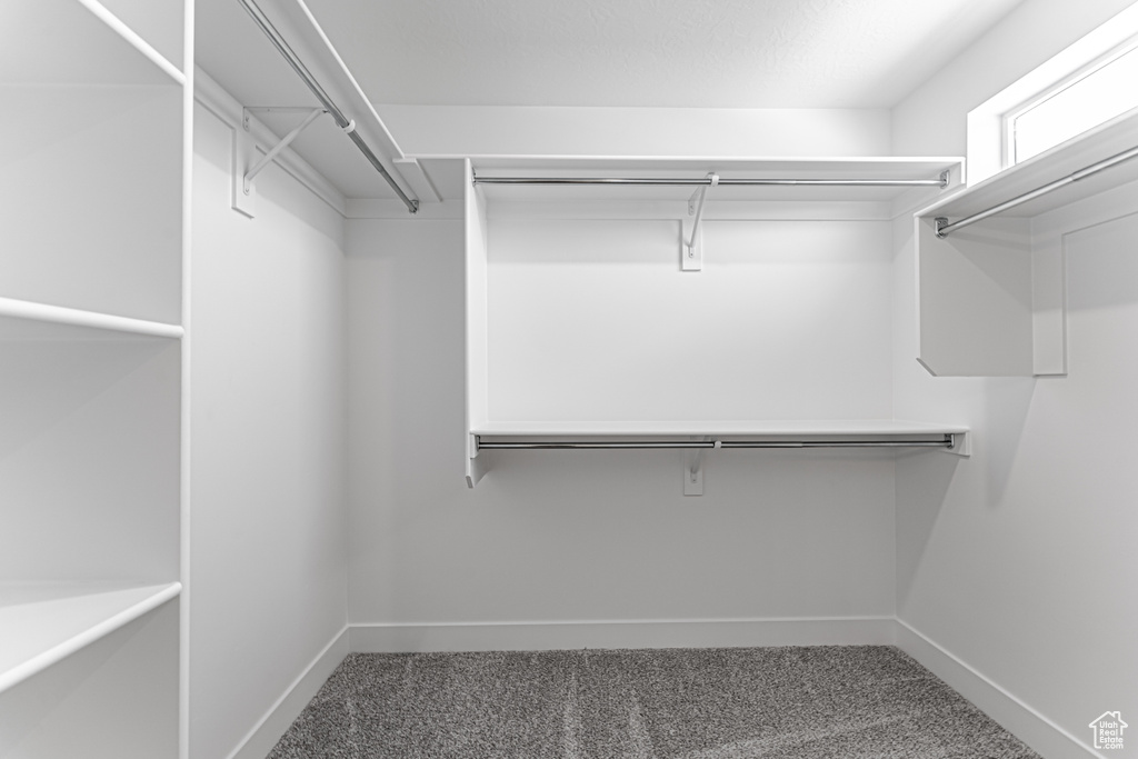 Walk in closet with carpet flooring