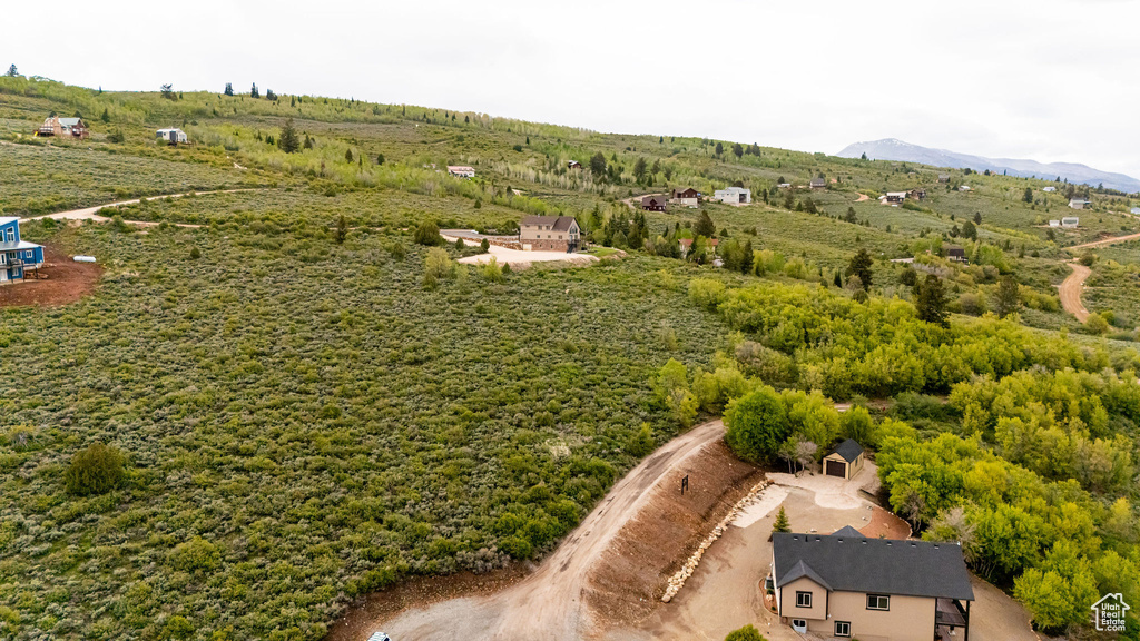 Bird's eye view of mountains
