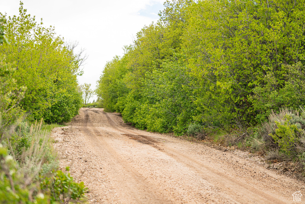 View of dirt / gravel road