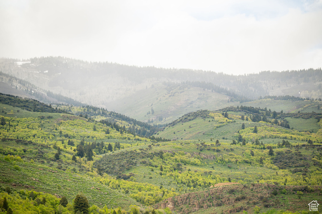 Mountain view with a heavily wooded area