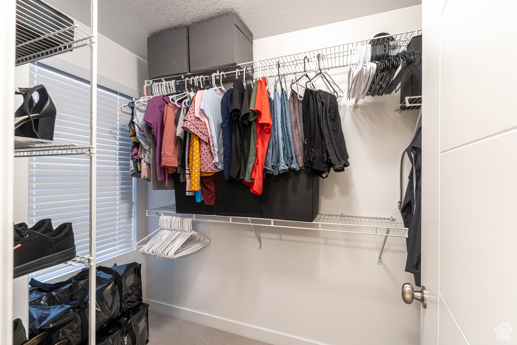 Walk in closet featuring carpet floors