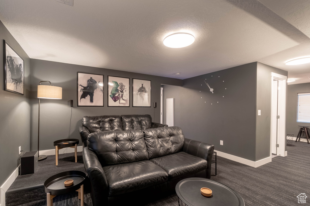 Cinema featuring baseboards, dark colored carpet, and a textured ceiling