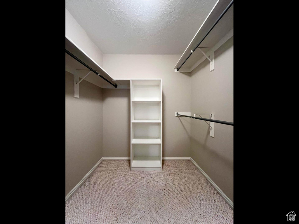Spacious closet featuring carpet flooring