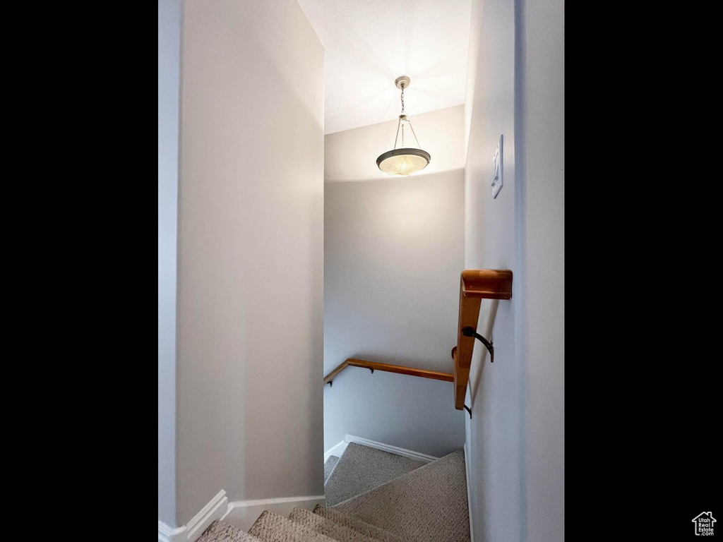 Stairs featuring baseboards and carpet