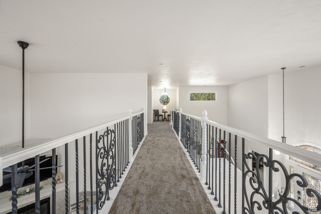 Hallway featuring carpet