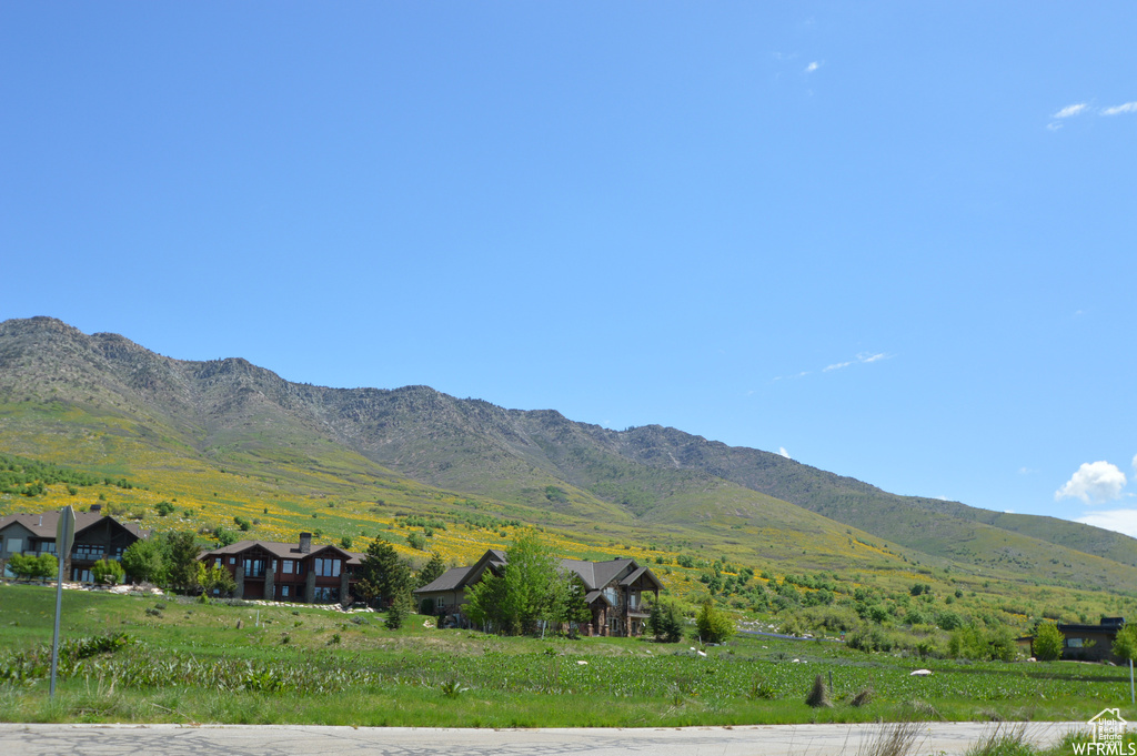 Mountain view