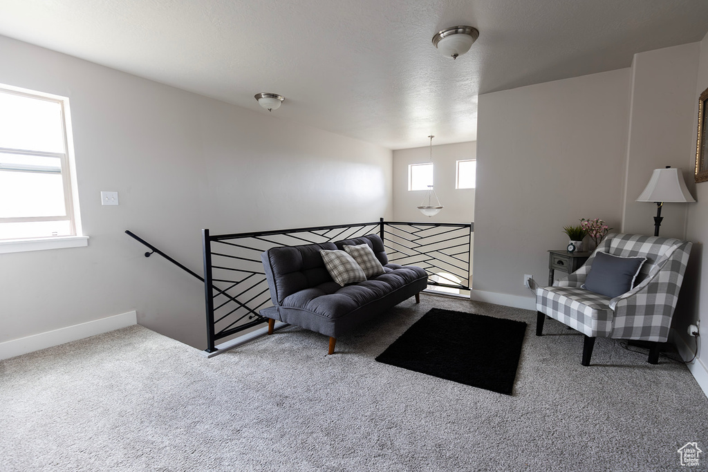 Living area with baseboards and carpet flooring