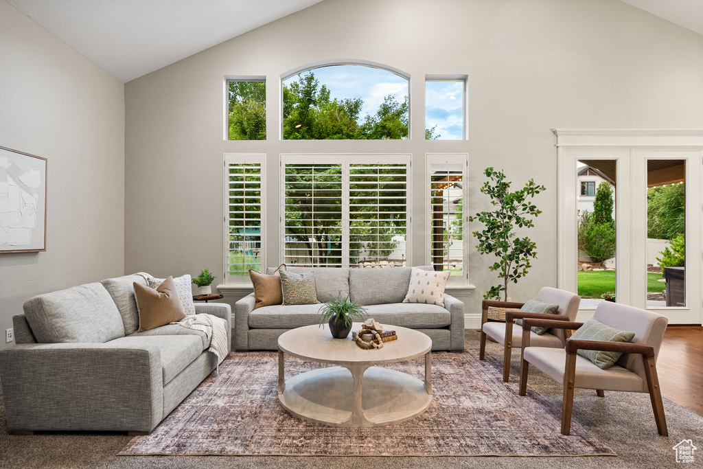 Living room featuring high vaulted ceiling and wood finished floors