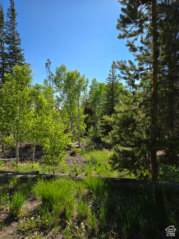 View of nature