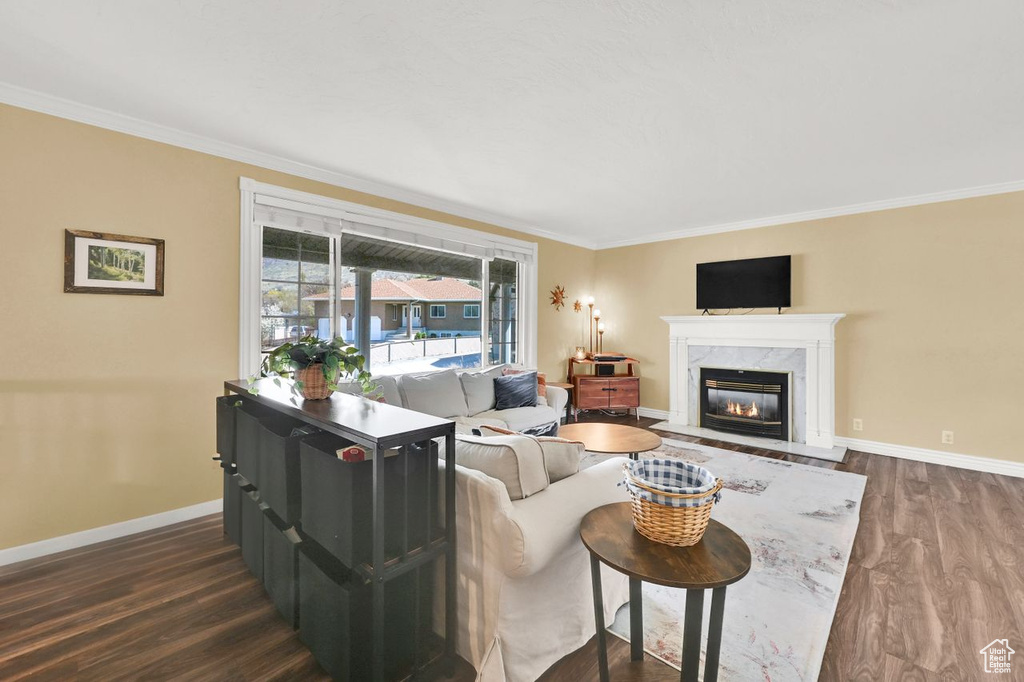Living area featuring dark wood-type flooring, a fireplace, baseboards, and ornamental molding