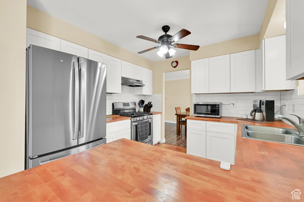Kitchen with appliances with stainless steel finishes, butcher block countertops, under cabinet range hood, ceiling fan, and a sink
