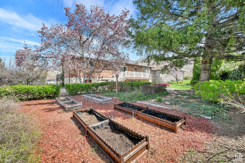 View of yard featuring a garden