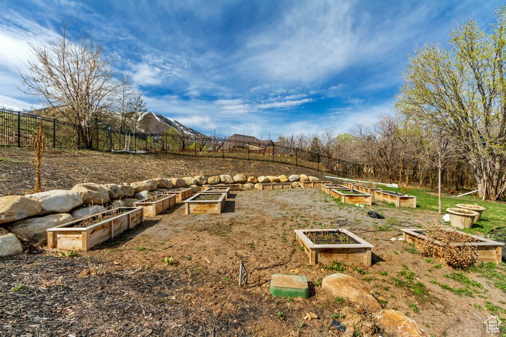 View of yard with a garden