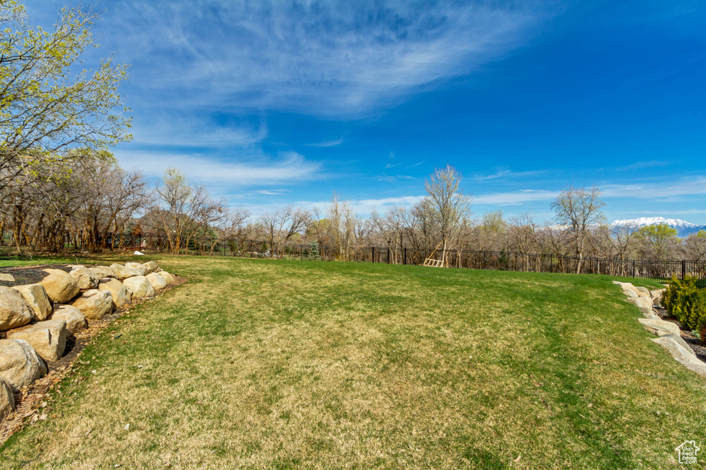 View of yard