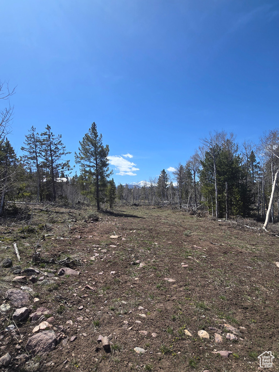 View of nature