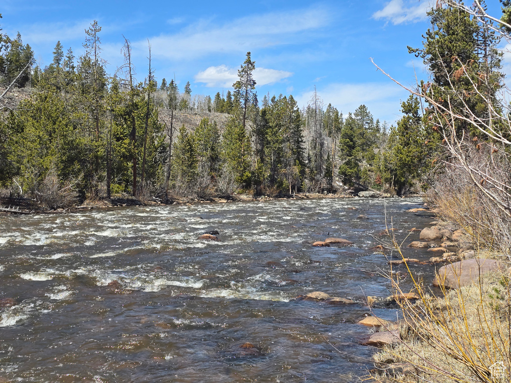 View of nature
