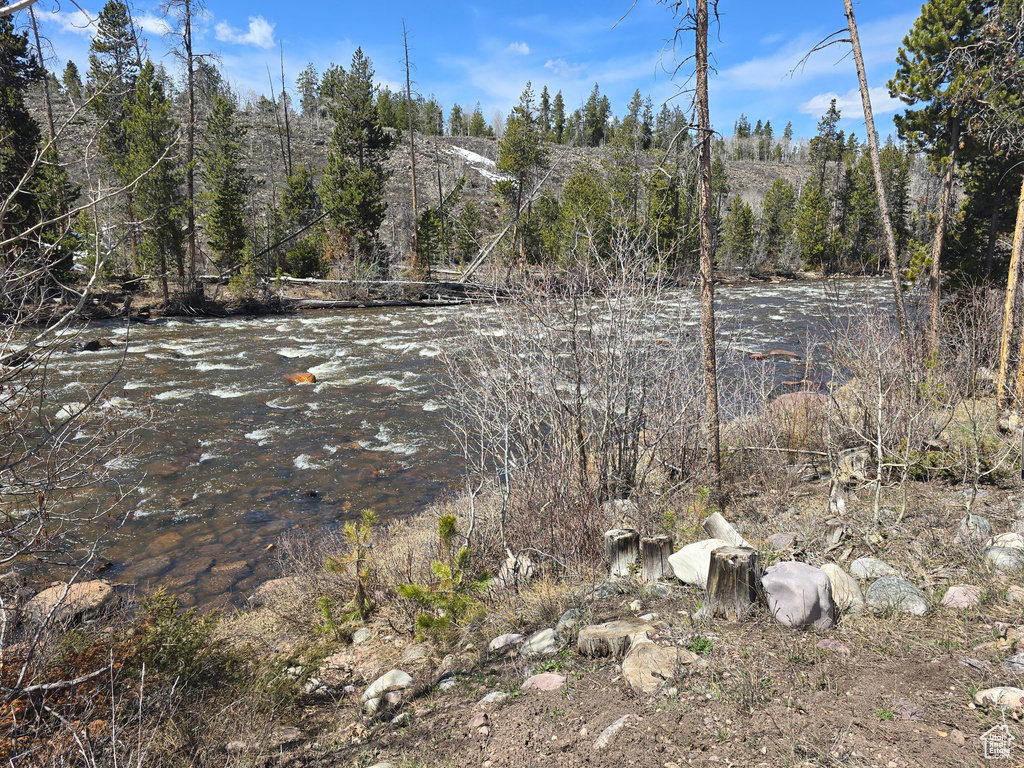 View of local wilderness