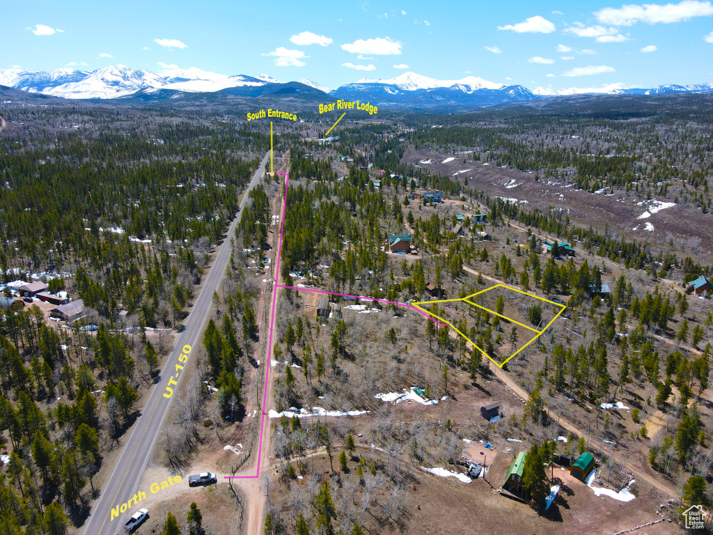 Drone / aerial view with a view of trees and a mountain view