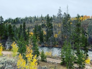 View of nature