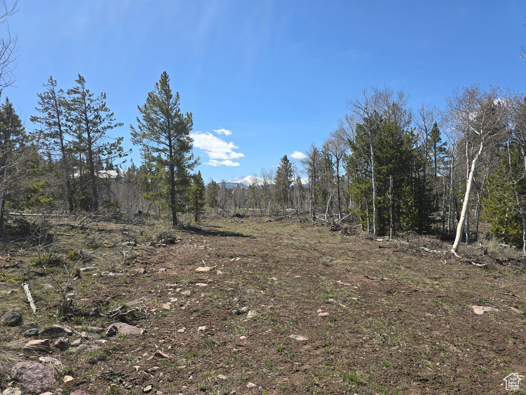 View of nature