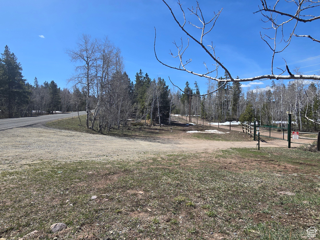 View of yard featuring a view of trees