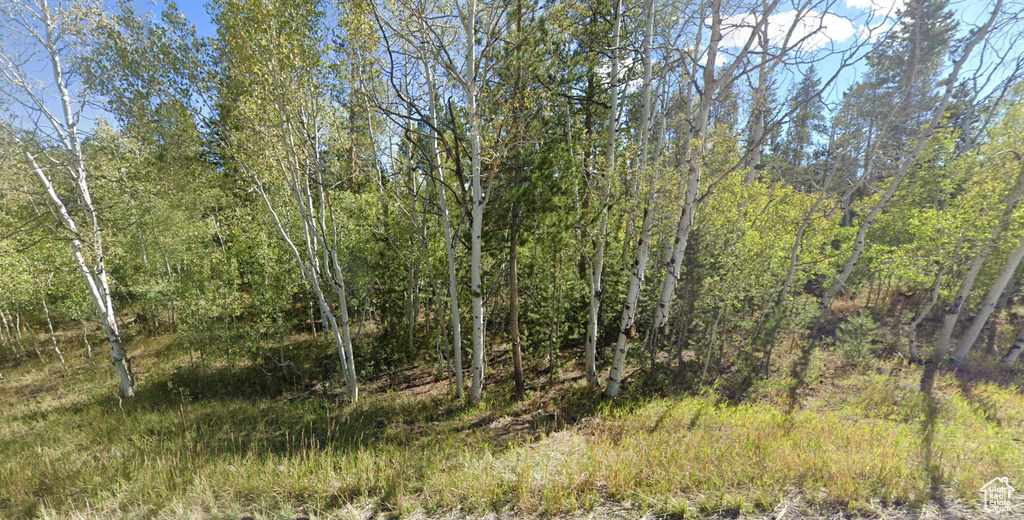 View of landscape featuring a view of trees