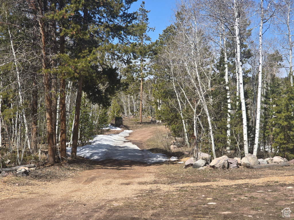 View of road