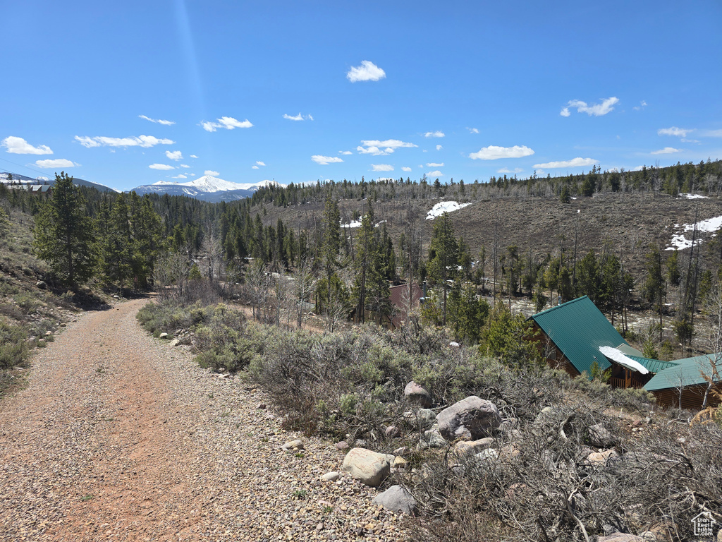 View of mountain feature featuring a view of trees