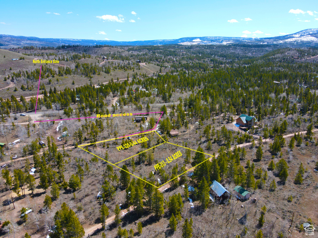 Drone / aerial view featuring a mountain view
