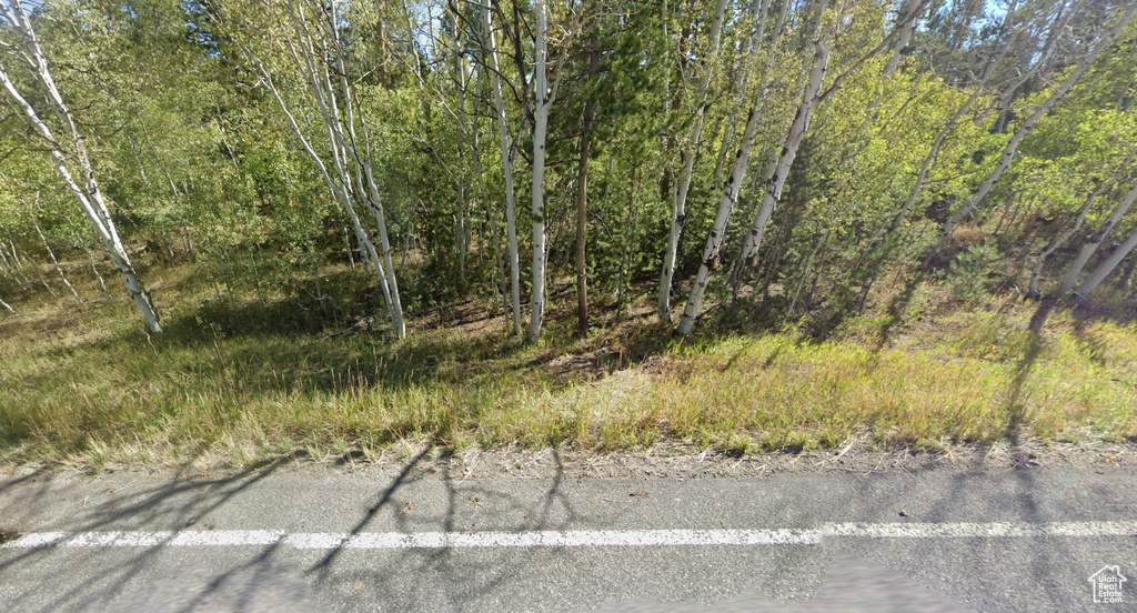 View of nature with a forest view