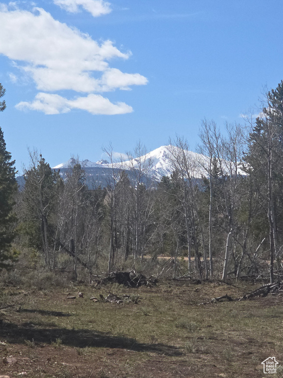 Mountain view