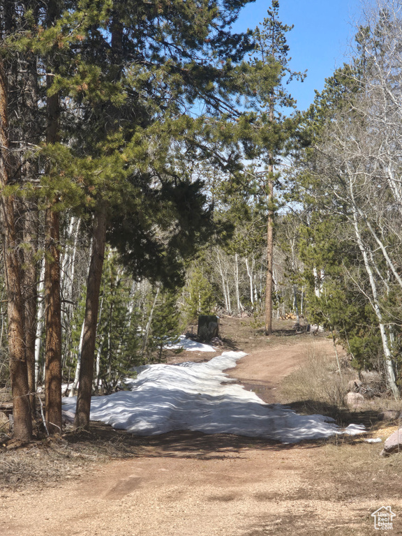 View of road