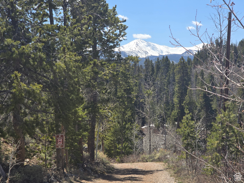 View of mountain feature featuring a wooded view