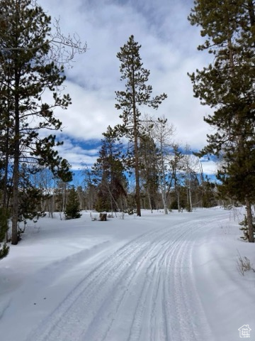 View of yard covered in snow
