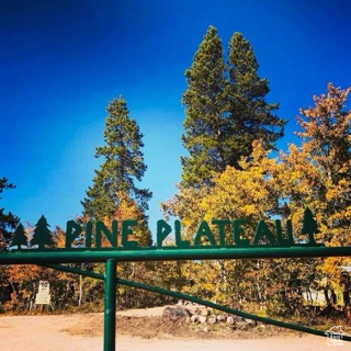 View of property\\\'s community