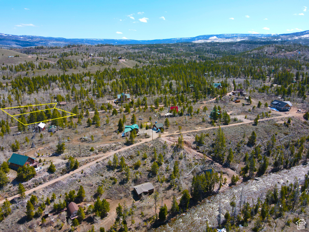 Drone / aerial view with a rural view, a wooded view, and a mountain view