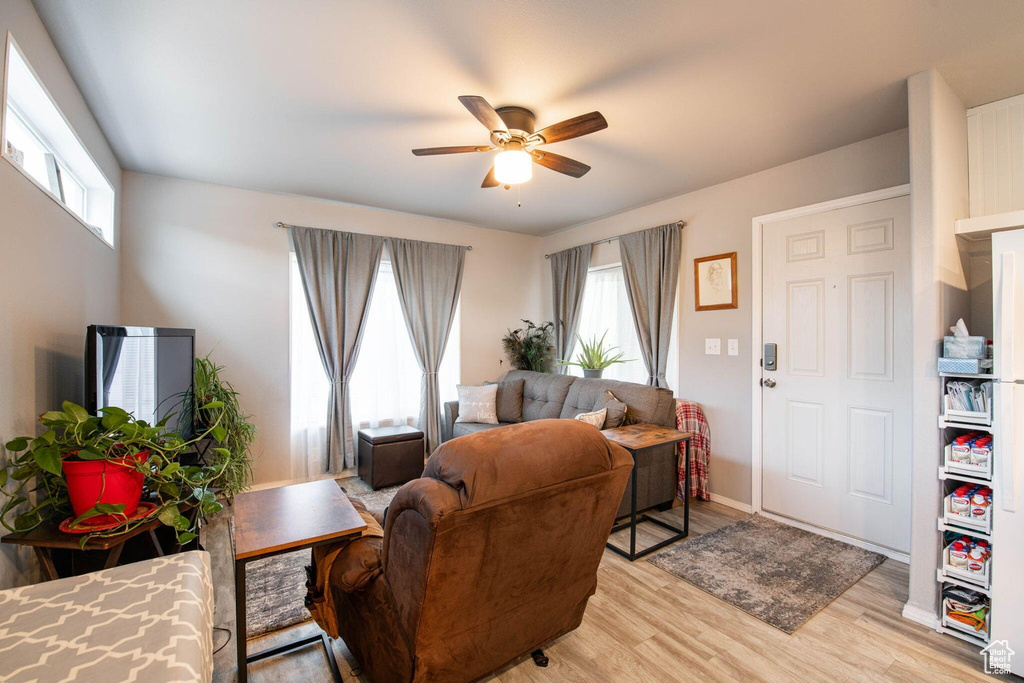 Living area featuring a wealth of natural light, light wood-style flooring, baseboards, and ceiling fan