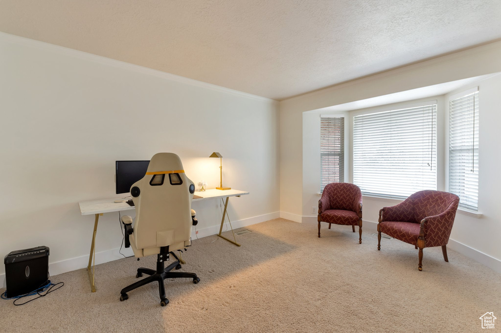 Home office with a textured ceiling, crown molding, baseboards, and carpet