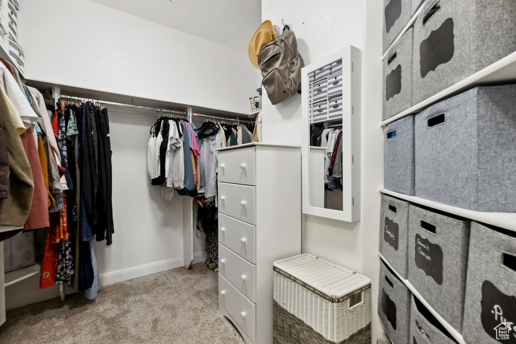 Spacious closet with carpet
