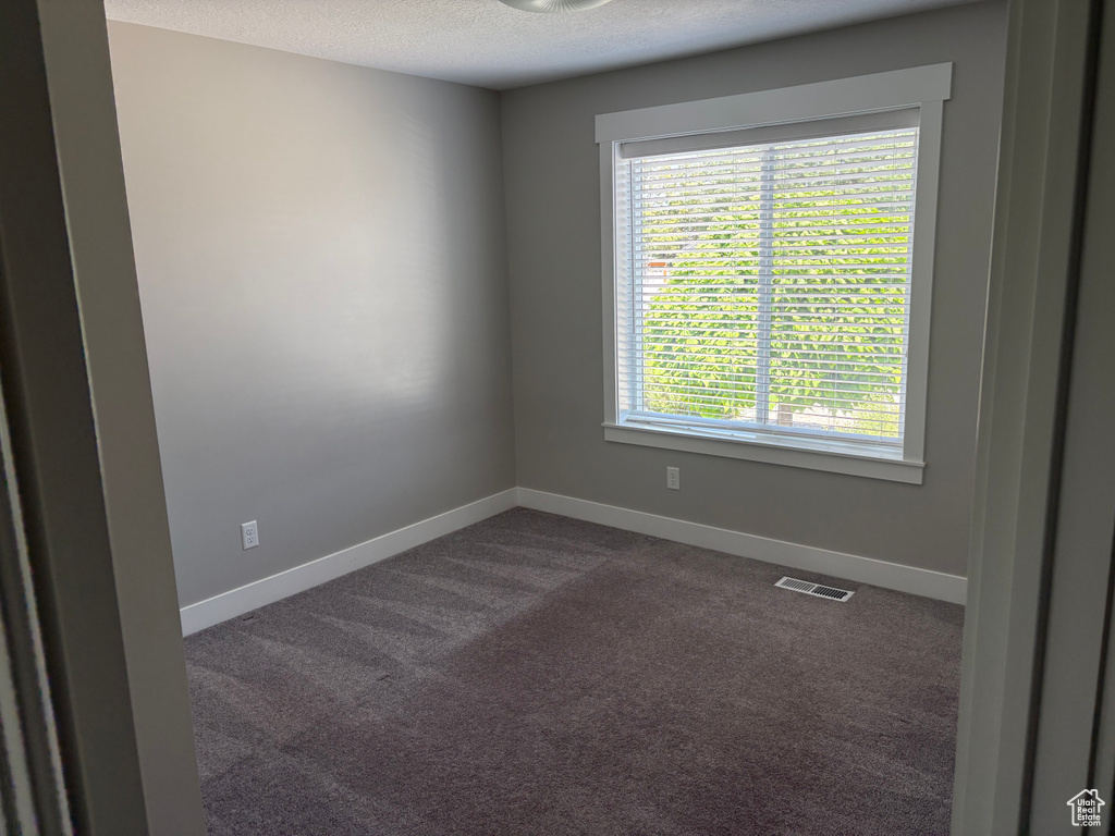 Spare room with plenty of natural light, dark carpet, and a textured ceiling