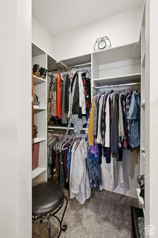 Walk in closet featuring carpet flooring