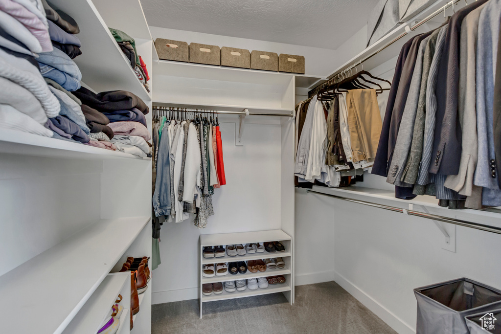 Walk in closet featuring carpet flooring
