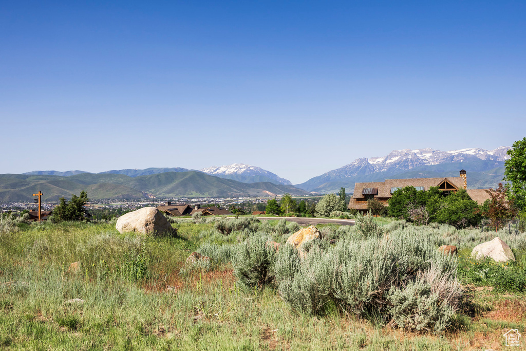 View of mountain background
