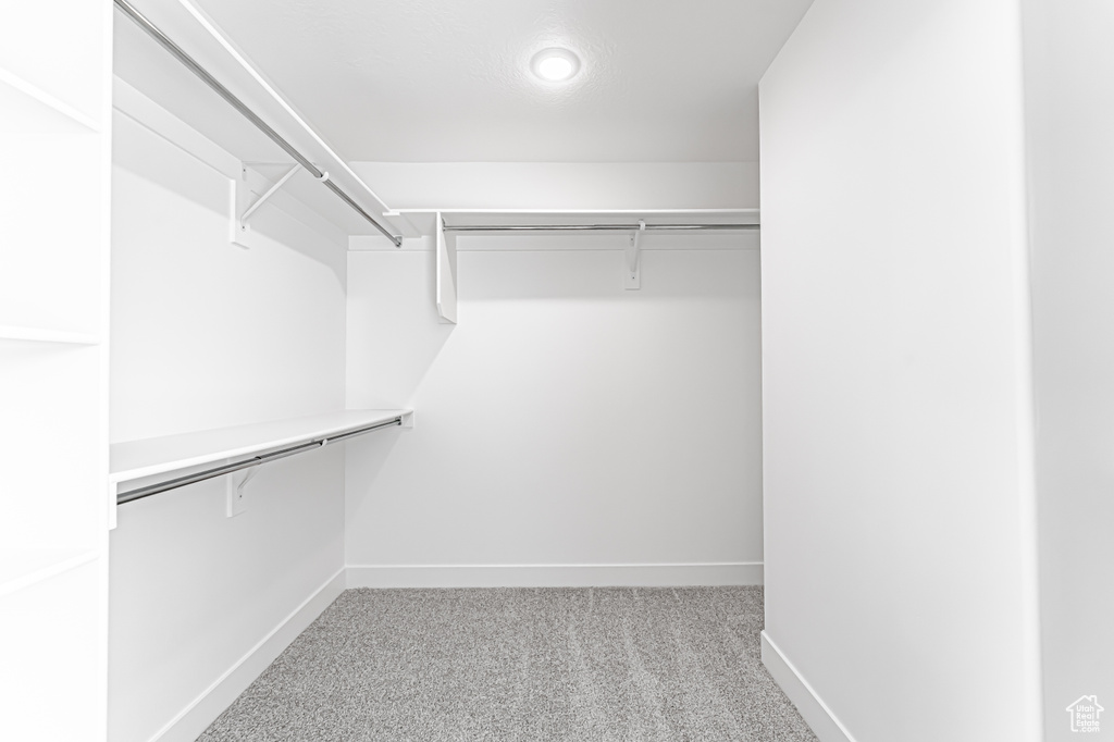 Spacious closet with carpet floors