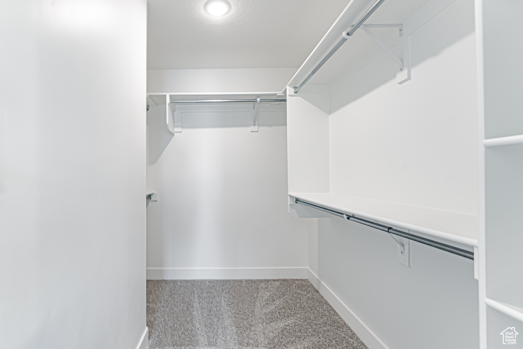 Walk in closet with carpet