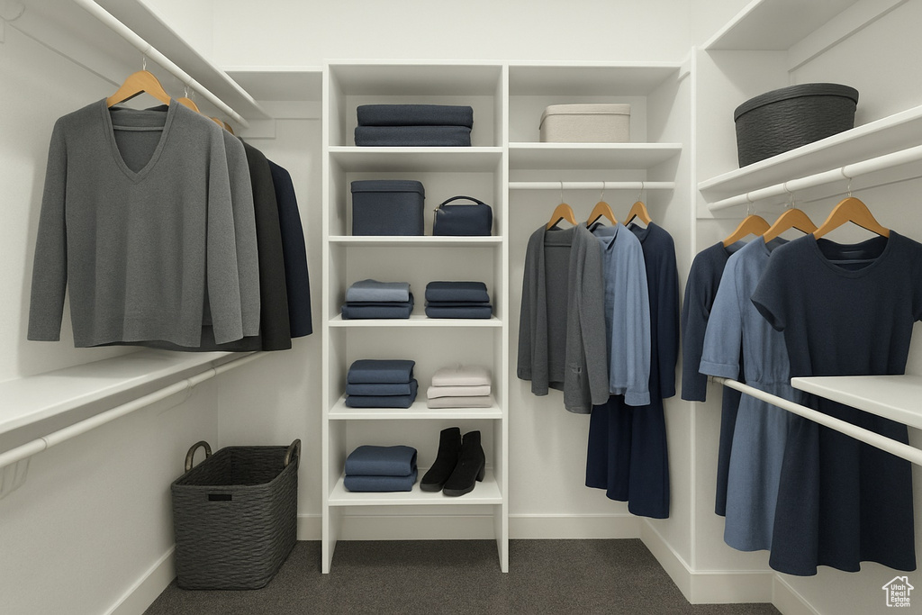Spacious closet featuring carpet