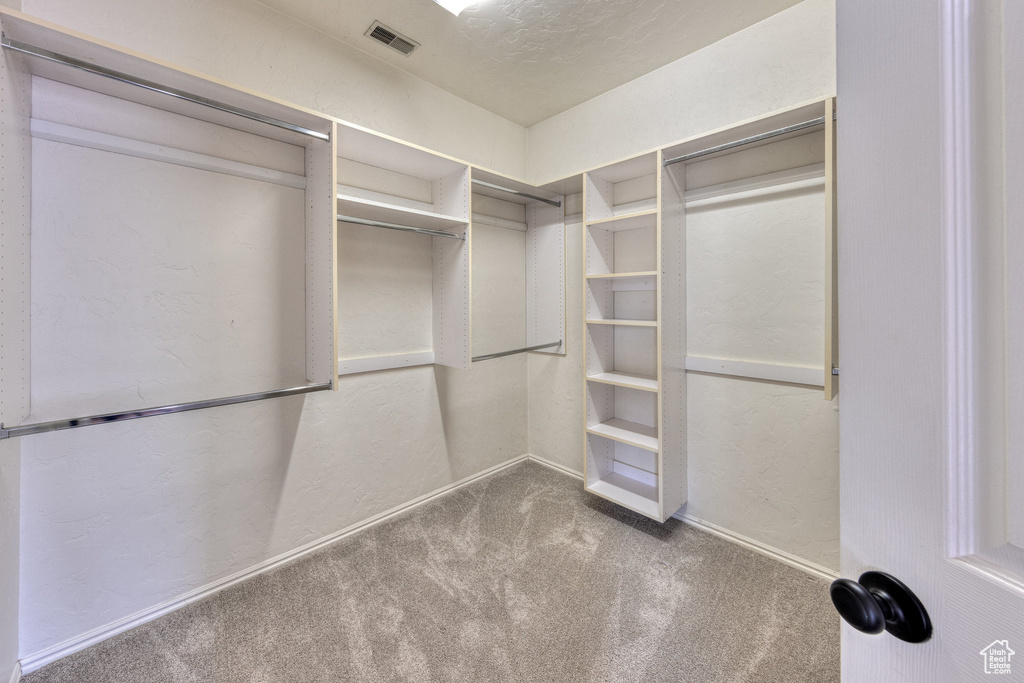 Spacious closet featuring visible vents and carpet floors