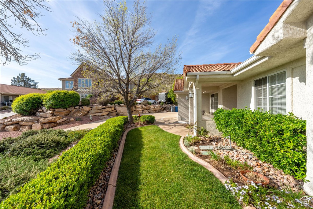 View of yard with a patio area